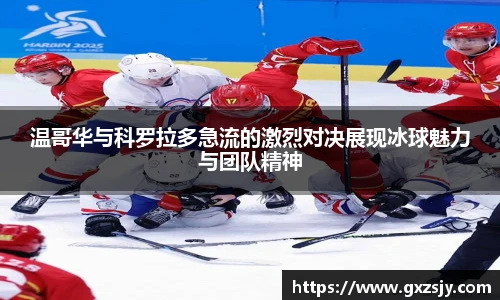 温哥华与科罗拉多急流的激烈对决展现冰球魅力与团队精神